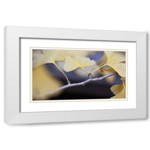 Autumn Gingko I White Modern Wood Framed Art Print with Double Matting by Crane, Rita