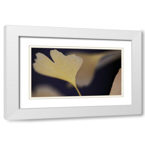 Autumn Gingko II White Modern Wood Framed Art Print with Double Matting by Crane, Rita