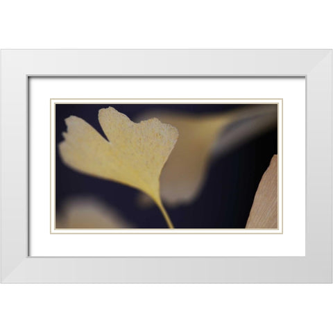 Autumn Gingko II White Modern Wood Framed Art Print with Double Matting by Crane, Rita