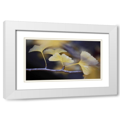 Autumn Gingko III White Modern Wood Framed Art Print with Double Matting by Crane, Rita