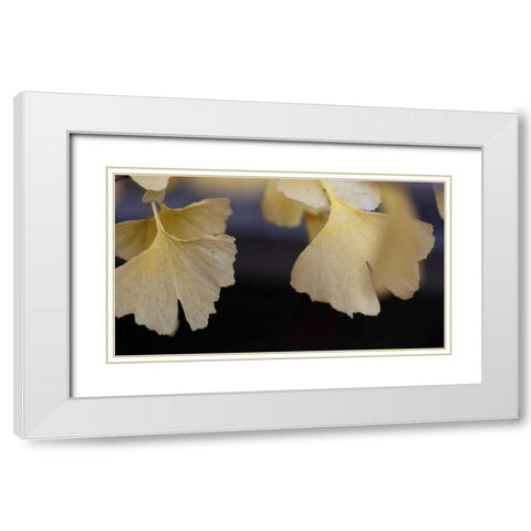 Autumn Gingko IV White Modern Wood Framed Art Print with Double Matting by Crane, Rita