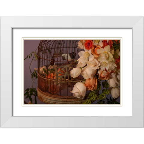 Flowers and Bird Cage II White Modern Wood Framed Art Print with Double Matting by Crane, Rita