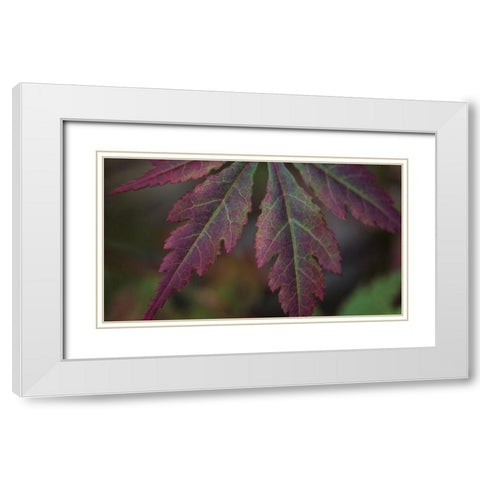 Autumn Maple I White Modern Wood Framed Art Print with Double Matting by Crane, Rita