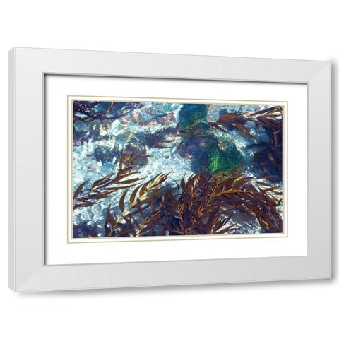 Mermaid Tresses I White Modern Wood Framed Art Print with Double Matting by Crane, Rita