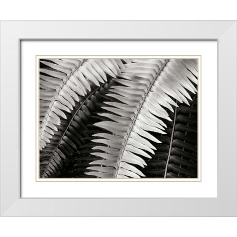 Fern I White Modern Wood Framed Art Print with Double Matting by Christensen, Jim