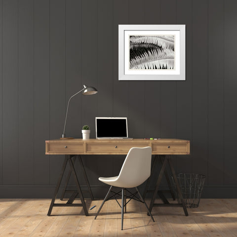 Fern II White Modern Wood Framed Art Print with Double Matting by Christensen, Jim