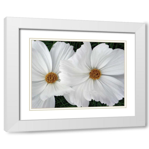 Cosmo Trail II White Modern Wood Framed Art Print with Double Matting by Christensen, Jim