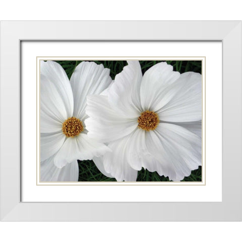 Cosmo Trail II White Modern Wood Framed Art Print with Double Matting by Christensen, Jim