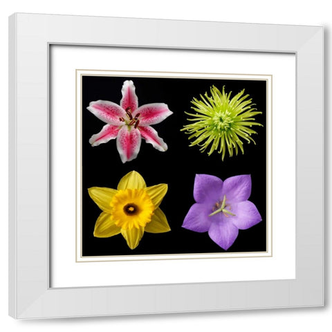 Flower Group 1 White Modern Wood Framed Art Print with Double Matting by Christensen, Jim