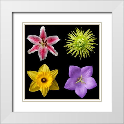 Flower Group 1 White Modern Wood Framed Art Print with Double Matting by Christensen, Jim