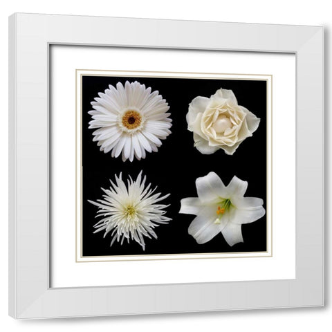 Flower Group 2 White Modern Wood Framed Art Print with Double Matting by Christensen, Jim