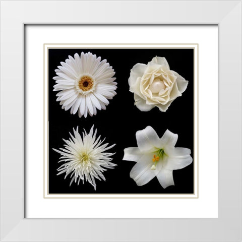 Flower Group 2 White Modern Wood Framed Art Print with Double Matting by Christensen, Jim