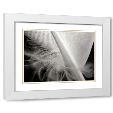 Feather I White Modern Wood Framed Art Print with Double Matting by Christensen, Jim