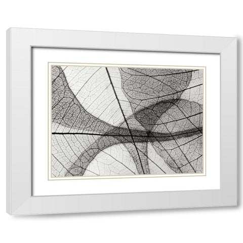Leaf Designs I BW White Modern Wood Framed Art Print with Double Matting by Christensen, Jim