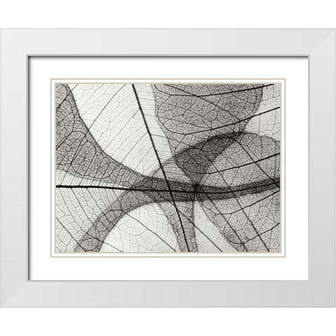 Leaf Designs I BW White Modern Wood Framed Art Print with Double Matting by Christensen, Jim