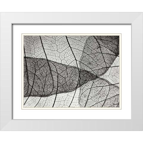 Leaf Designs II BW White Modern Wood Framed Art Print with Double Matting by Christensen, Jim