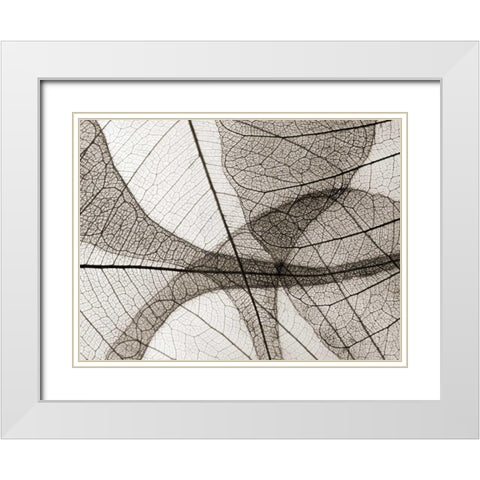 Leaf Designs I Sepia White Modern Wood Framed Art Print with Double Matting by Christensen, Jim