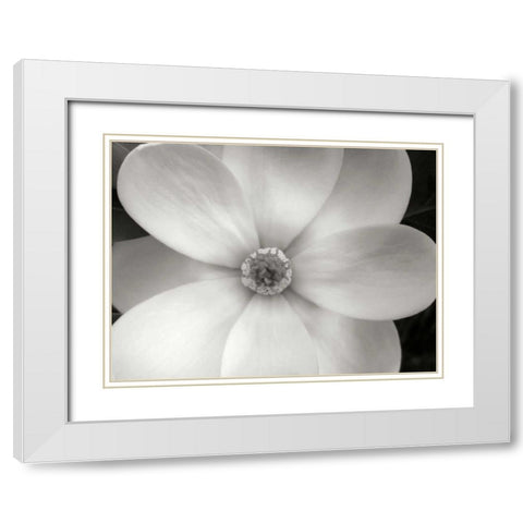 Magnolia II White Modern Wood Framed Art Print with Double Matting by Christensen, Jim