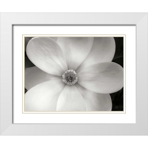 Magnolia II White Modern Wood Framed Art Print with Double Matting by Christensen, Jim