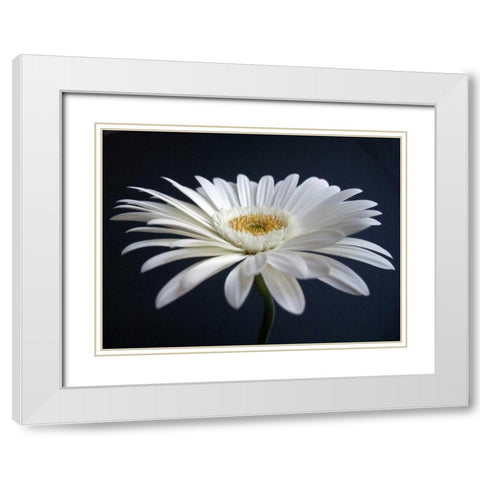 Gerber Angle I White Modern Wood Framed Art Print with Double Matting by Christensen, Jim