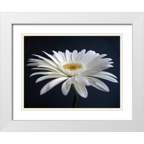 Gerber Angle I White Modern Wood Framed Art Print with Double Matting by Christensen, Jim