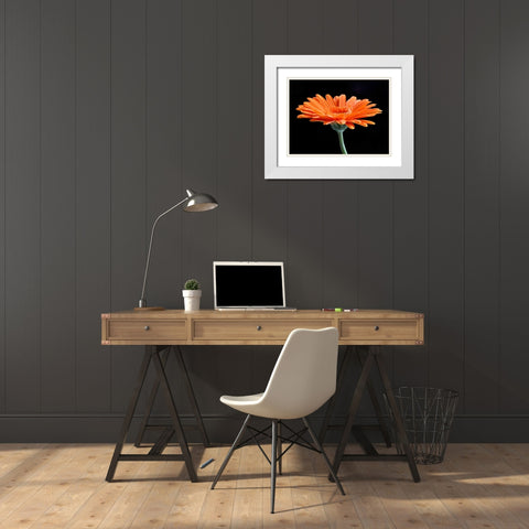 Gerber Angle II White Modern Wood Framed Art Print with Double Matting by Christensen, Jim