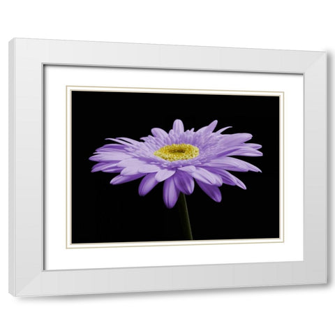 Gerber Angle IV White Modern Wood Framed Art Print with Double Matting by Christensen, Jim