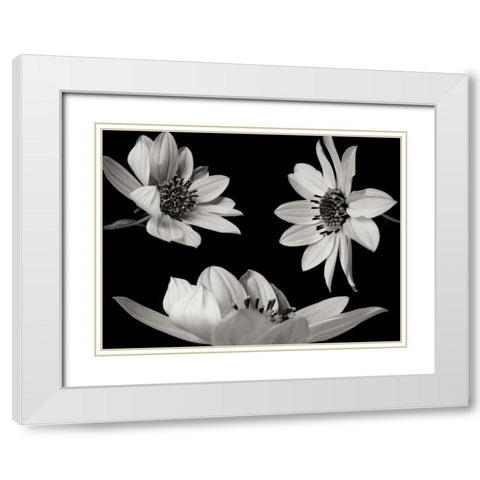 Trio I White Modern Wood Framed Art Print with Double Matting by Christensen, Jim