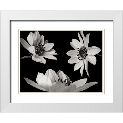 Trio I White Modern Wood Framed Art Print with Double Matting by Christensen, Jim
