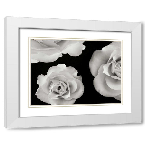Trio II White Modern Wood Framed Art Print with Double Matting by Christensen, Jim