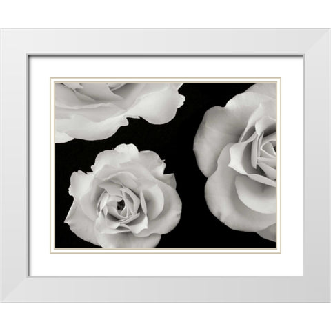 Trio II White Modern Wood Framed Art Print with Double Matting by Christensen, Jim