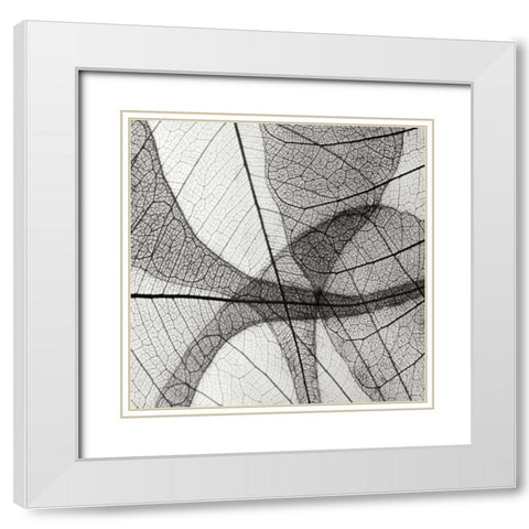 Leaf Designs III BW White Modern Wood Framed Art Print with Double Matting by Christensen, Jim