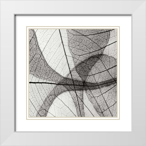 Leaf Designs III BW White Modern Wood Framed Art Print with Double Matting by Christensen, Jim