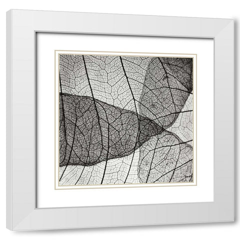 Leaf Designs IV BW White Modern Wood Framed Art Print with Double Matting by Christensen, Jim