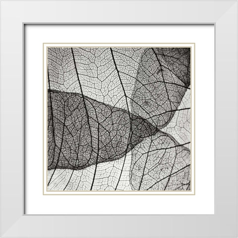 Leaf Designs IV BW White Modern Wood Framed Art Print with Double Matting by Christensen, Jim