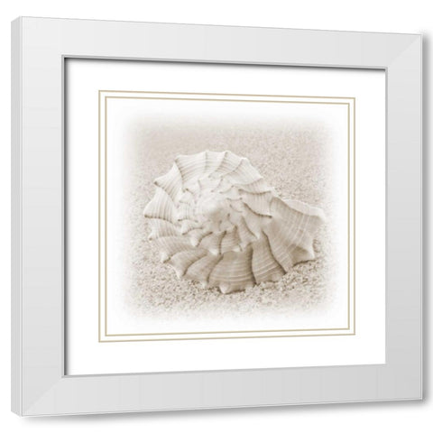 In the Sand I White Modern Wood Framed Art Print with Double Matting by Christensen, Jim