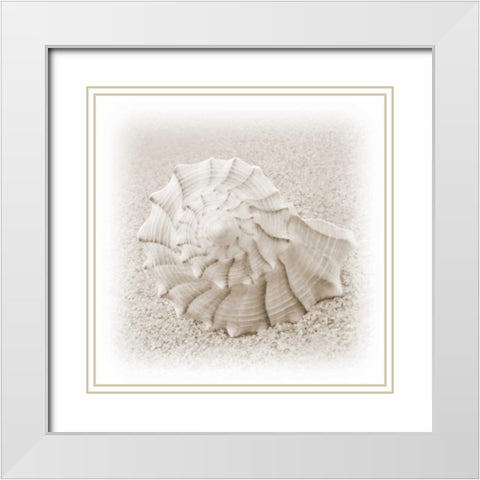In the Sand I White Modern Wood Framed Art Print with Double Matting by Christensen, Jim