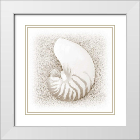 In the Sand III White Modern Wood Framed Art Print with Double Matting by Christensen, Jim