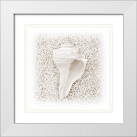 In the Sand IV White Modern Wood Framed Art Print with Double Matting by Christensen, Jim