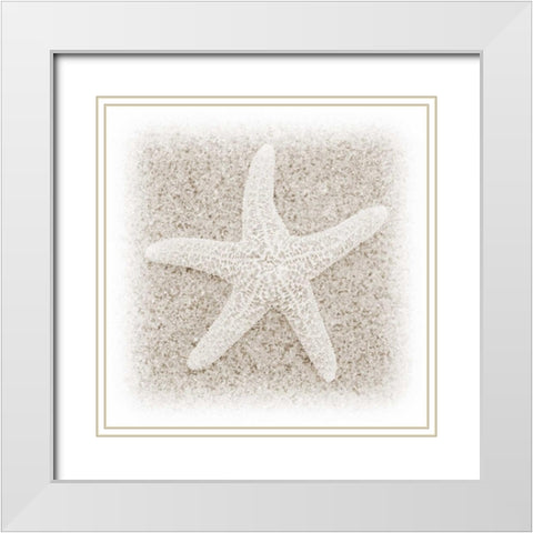 In the Sand V White Modern Wood Framed Art Print with Double Matting by Christensen, Jim