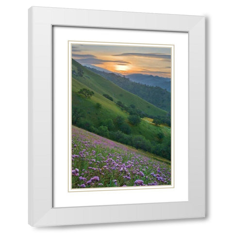 Caliente Bodfish I White Modern Wood Framed Art Print with Double Matting by Geistweite, Mark