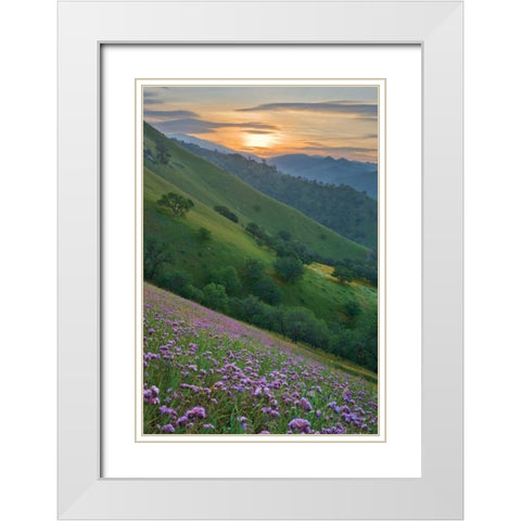Caliente Bodfish I White Modern Wood Framed Art Print with Double Matting by Geistweite, Mark