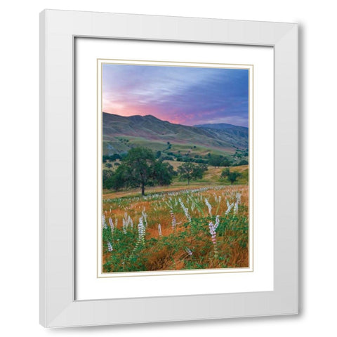 Caliente Bodfish II White Modern Wood Framed Art Print with Double Matting by Geistweite, Mark