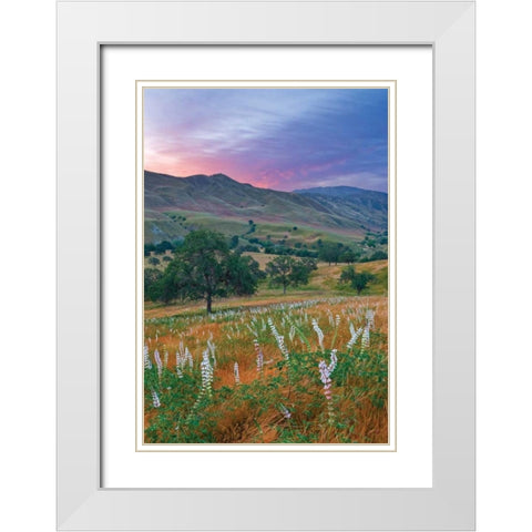 Caliente Bodfish II White Modern Wood Framed Art Print with Double Matting by Geistweite, Mark
