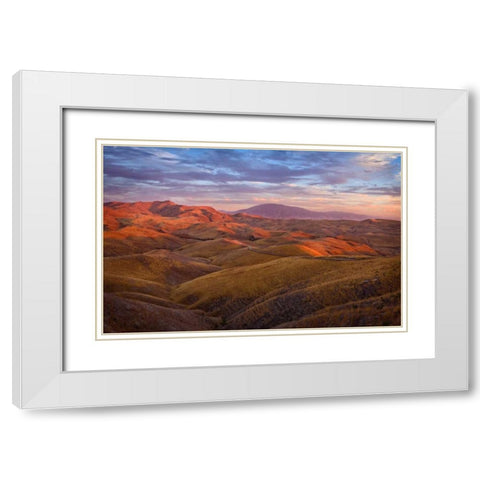 Parched Palette White Modern Wood Framed Art Print with Double Matting by Geistweite, Mark