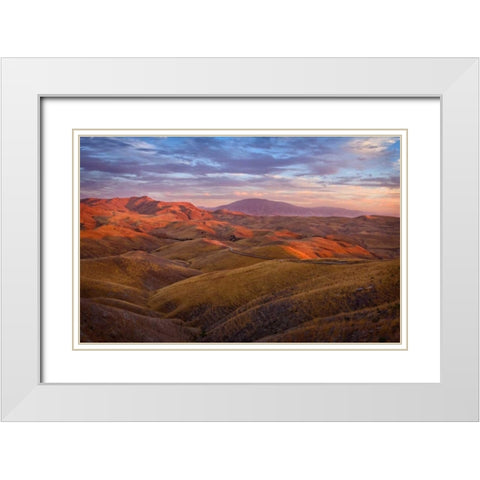 Parched Palette White Modern Wood Framed Art Print with Double Matting by Geistweite, Mark