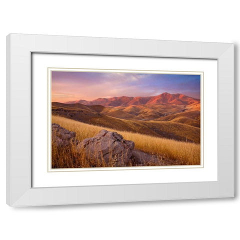 Summer Autumn White Modern Wood Framed Art Print with Double Matting by Geistweite, Mark