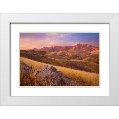 Summer Autumn White Modern Wood Framed Art Print with Double Matting by Geistweite, Mark