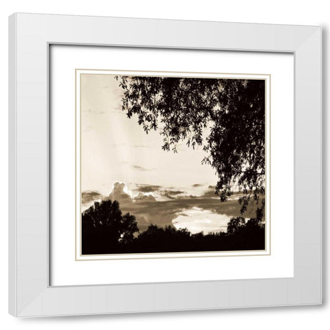 Sunset Trees Sepia Sq I White Modern Wood Framed Art Print with Double Matting by Hausenflock, Alan