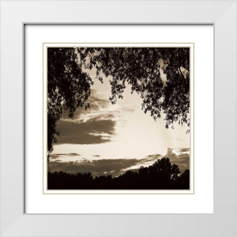 Sunset Trees Sepia Sq II White Modern Wood Framed Art Print with Double Matting by Hausenflock, Alan